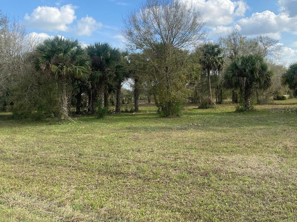 19376 NW 256th St., Okeechobee, FL 34972