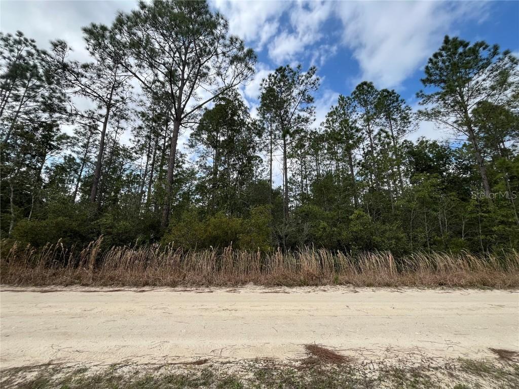 215 Royal Ave., Interlachen, FL 32148