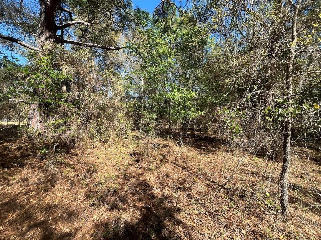 Lily Dr., Interlachen, FL 32148