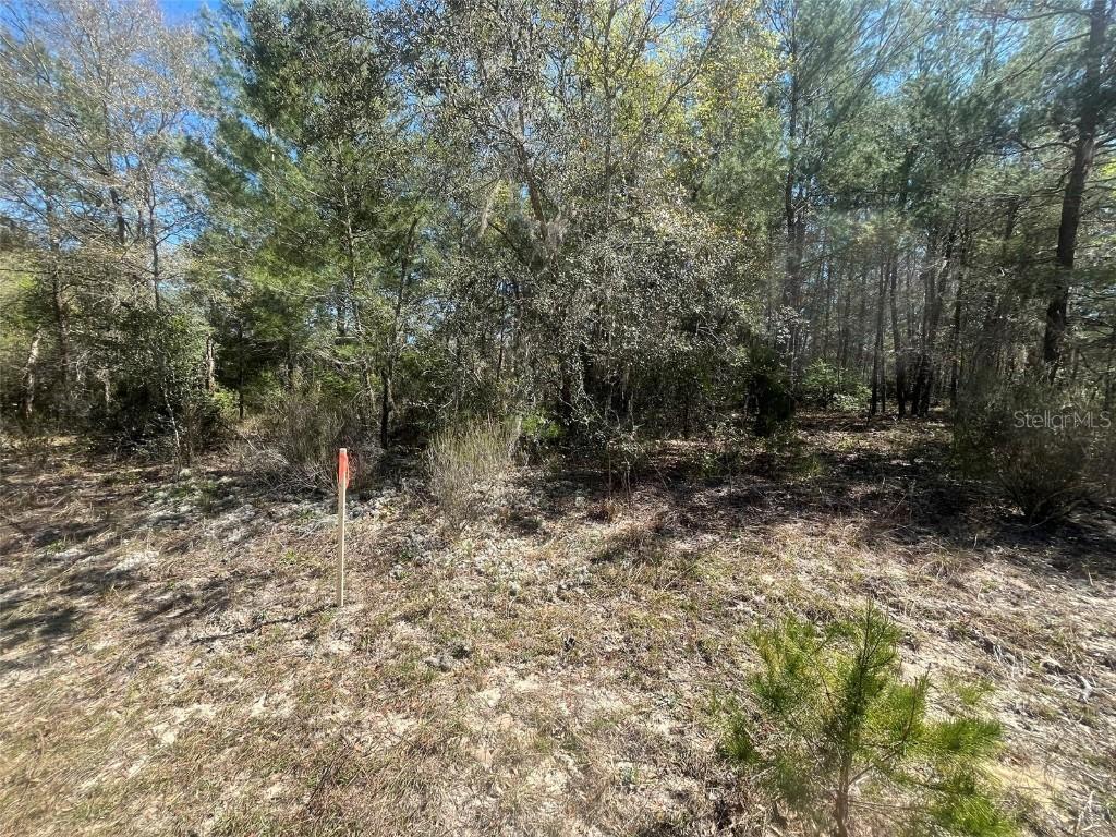 Kitty Ln., Interlachen, FL 32148