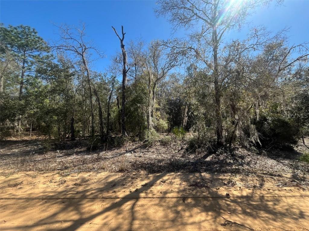 Kitty Ln., Interlachen, FL 32148