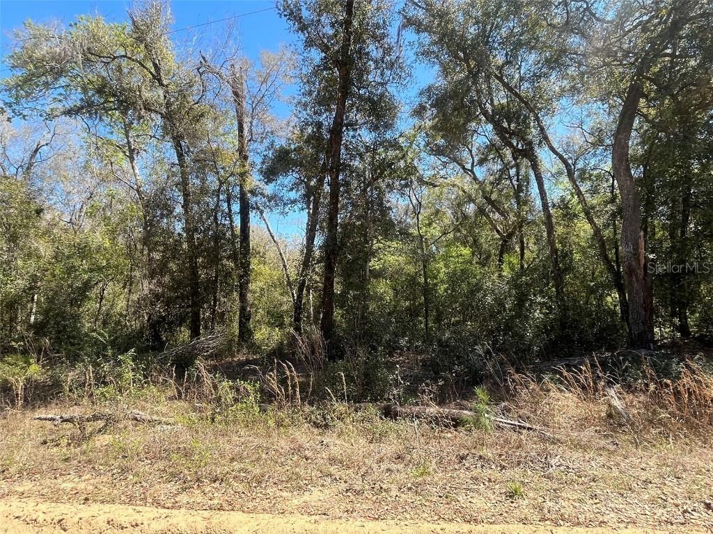 Walker St., Interlachen, FL 32148