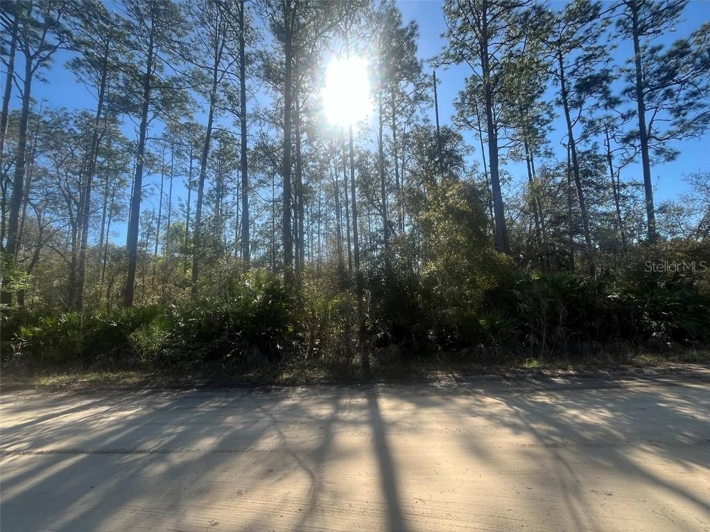Scott St., Interlachen, FL 32148