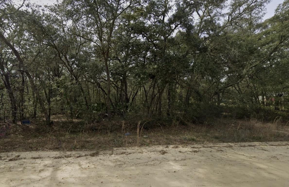 Banks Ave., Interlachen, FL 32148