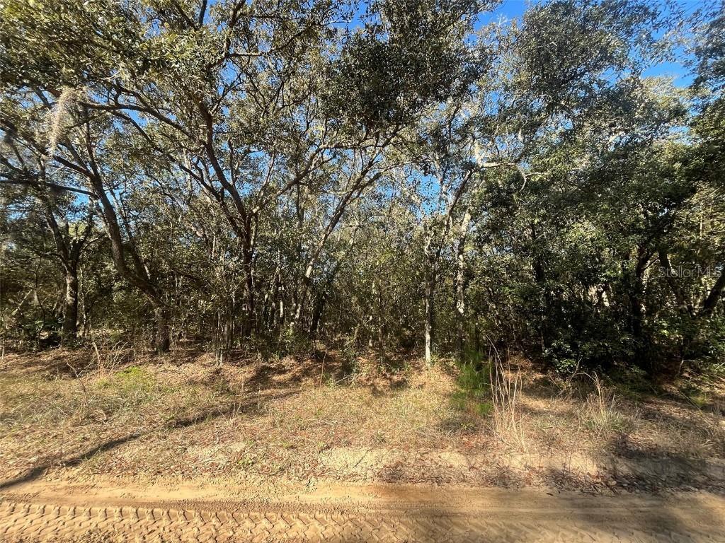 Banks Ave., Interlachen, FL 32148