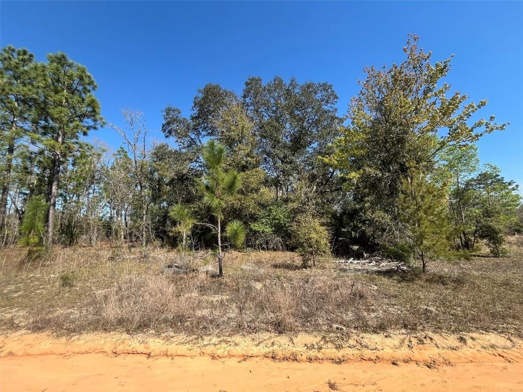 [Address Hidden by Seller], Interlachen, FL 32148
