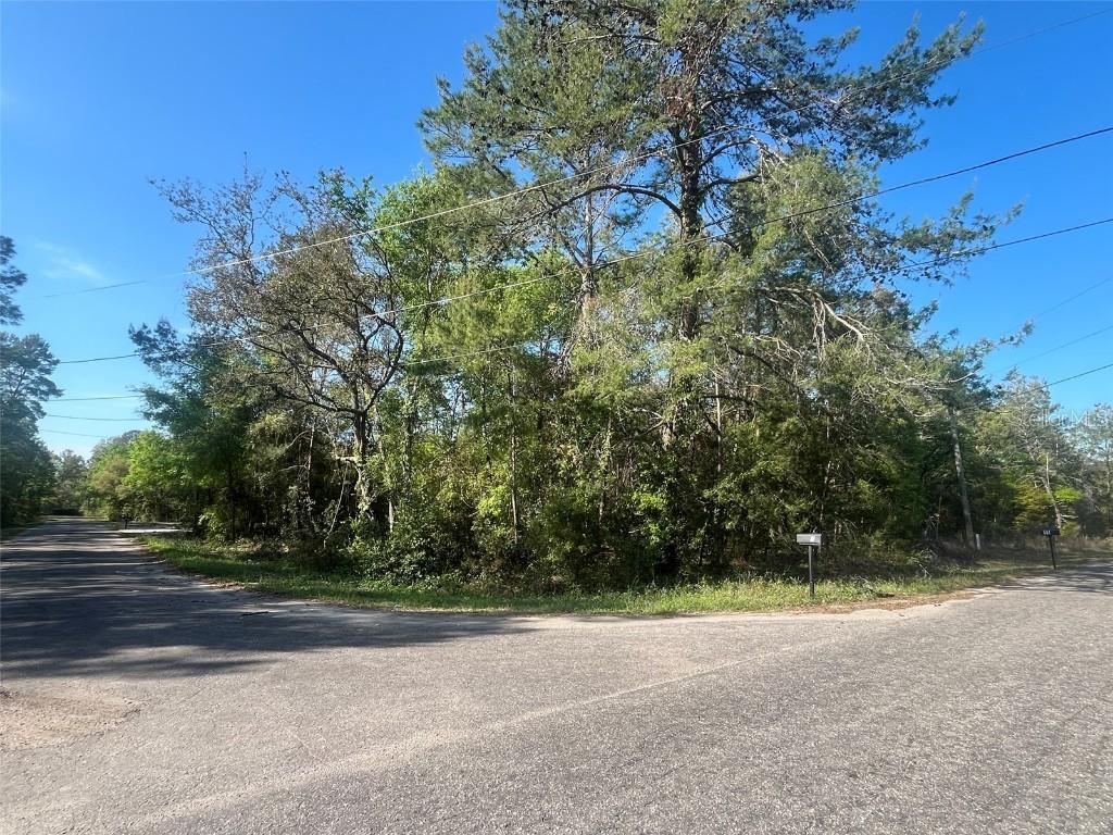 TBD Guava Pass, Ocklawaha, FL 32179