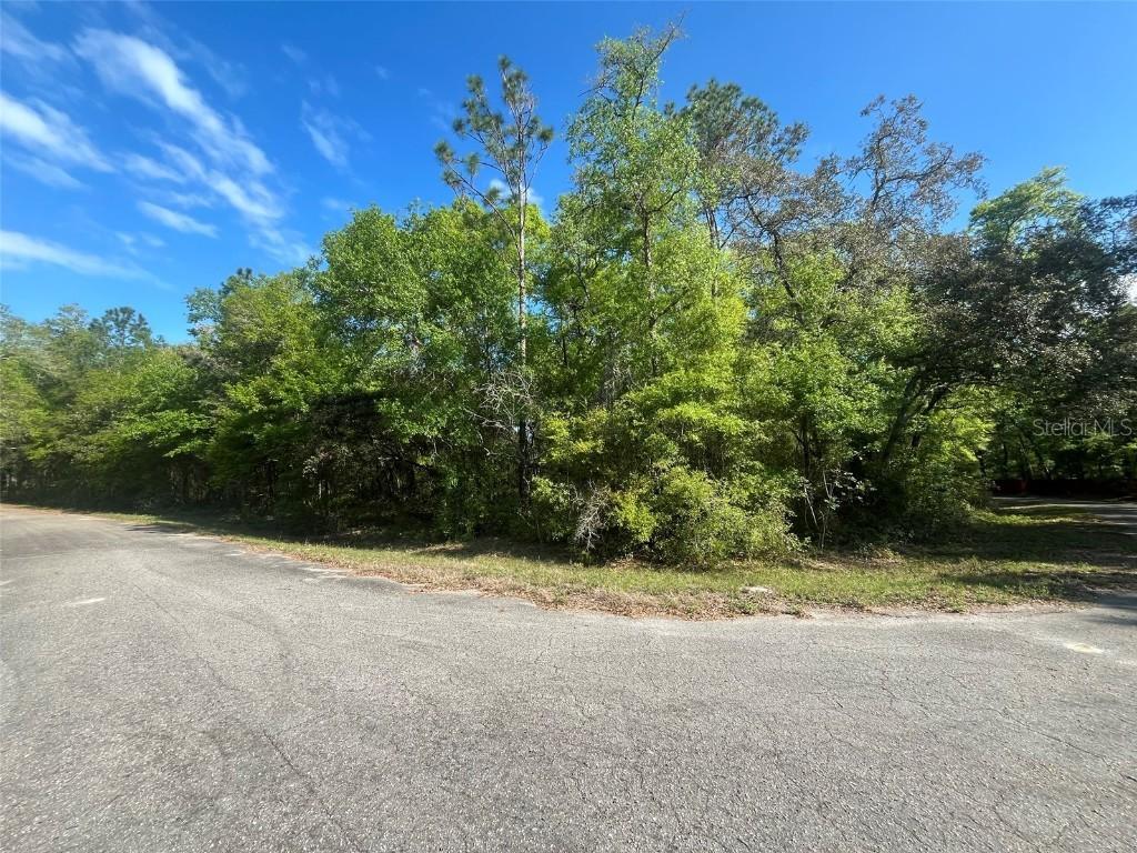 Guava Pass Ct., Ocklawaha, FL 32179