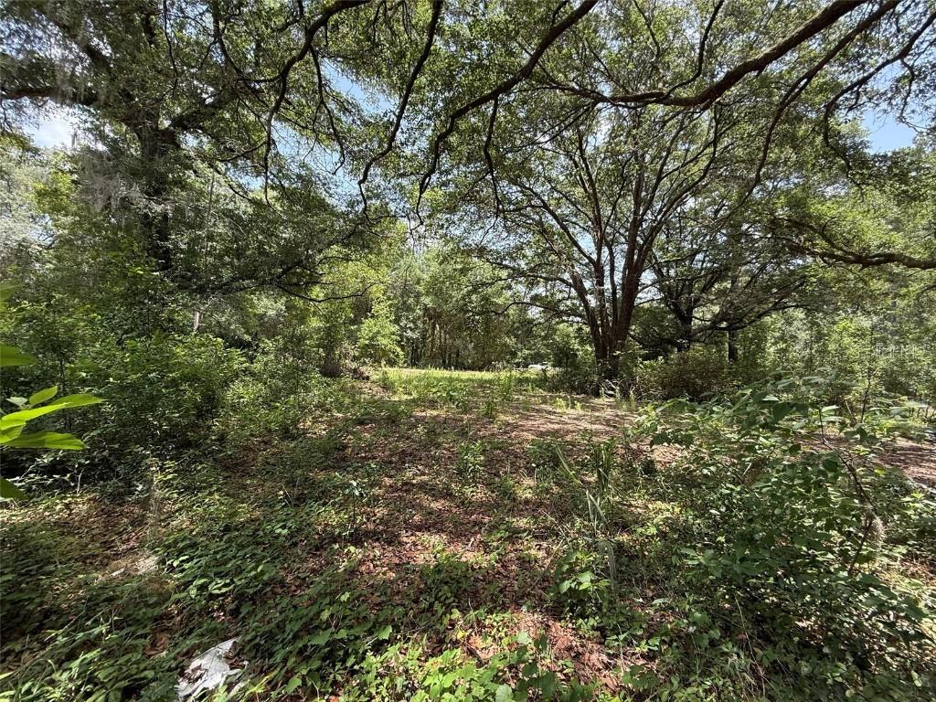 101 Joel Ave., Interlachen, FL 32148