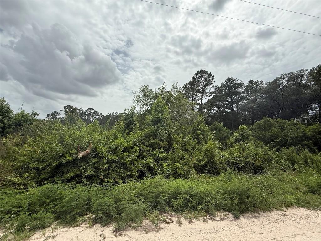129 Fishermans Dr., Interlachen, FL 32148