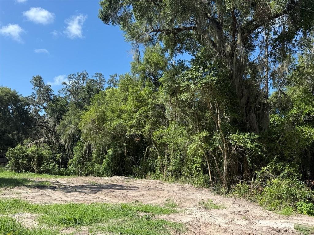 115 Roddy Ln., Palatka, FL 32177