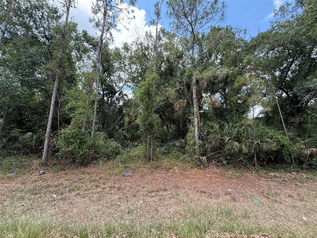 15501 Whitehall Ave., Port Charlotte, FL 33953