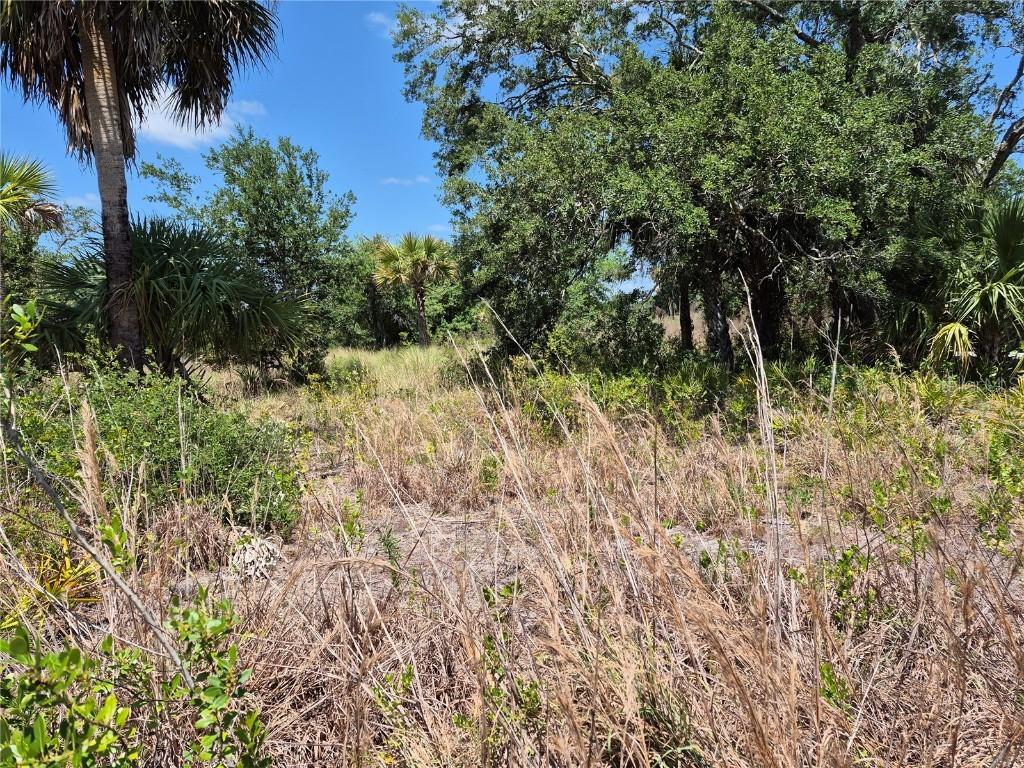 17763 NW 310th St., Okeechobee, FL 34972