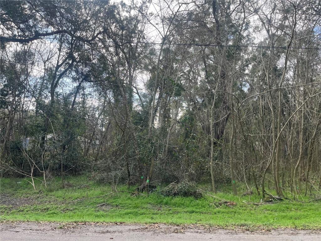 NW 65th Pl., Ocala, FL 34482