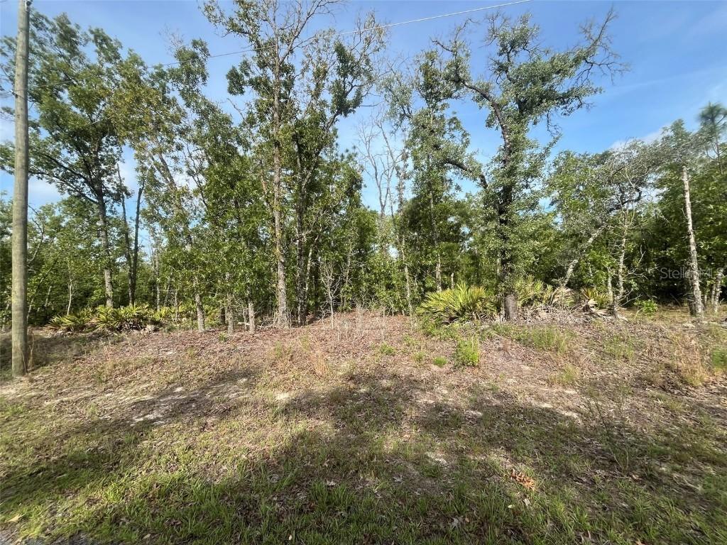 1321 W Delores Dr., Dunnellon, FL 34434