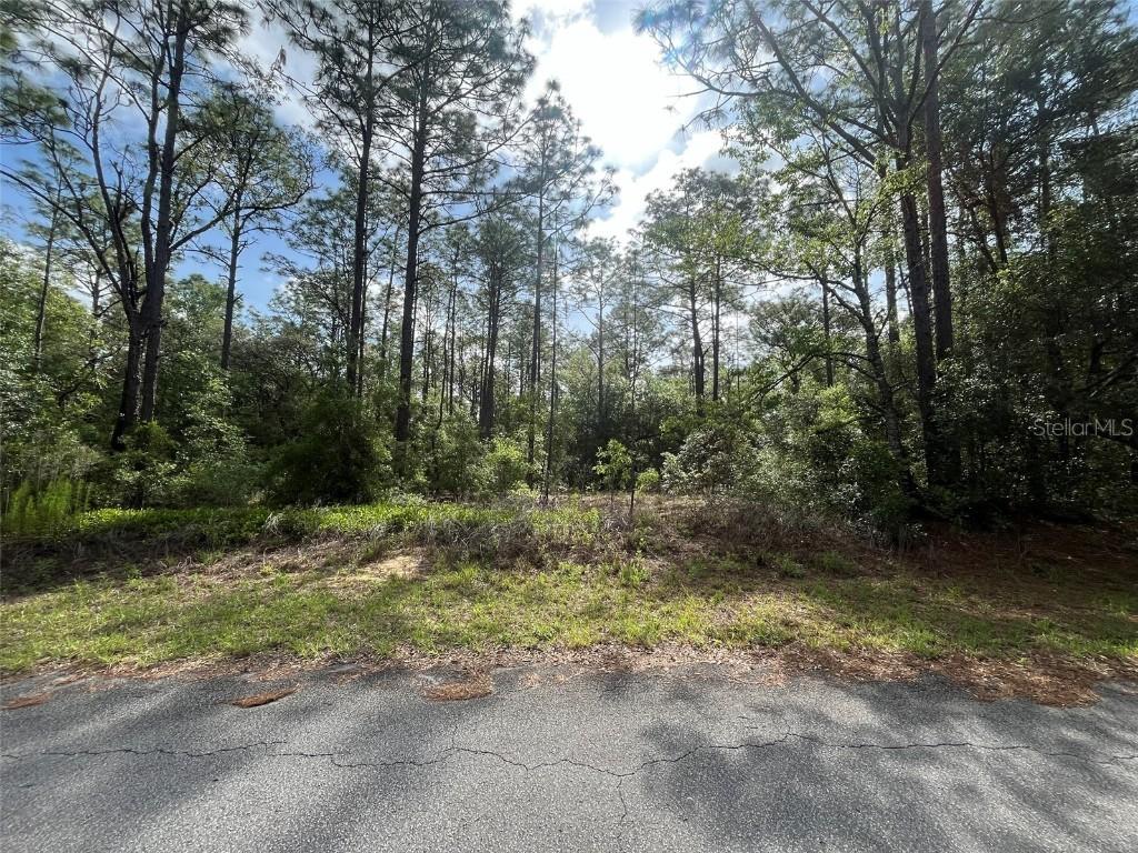 TBD SW 201 Cir., Dunnellon, FL 34431