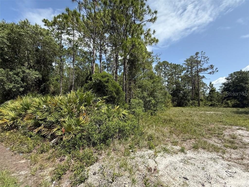 174 Millican Rd., Palatka, FL 32177