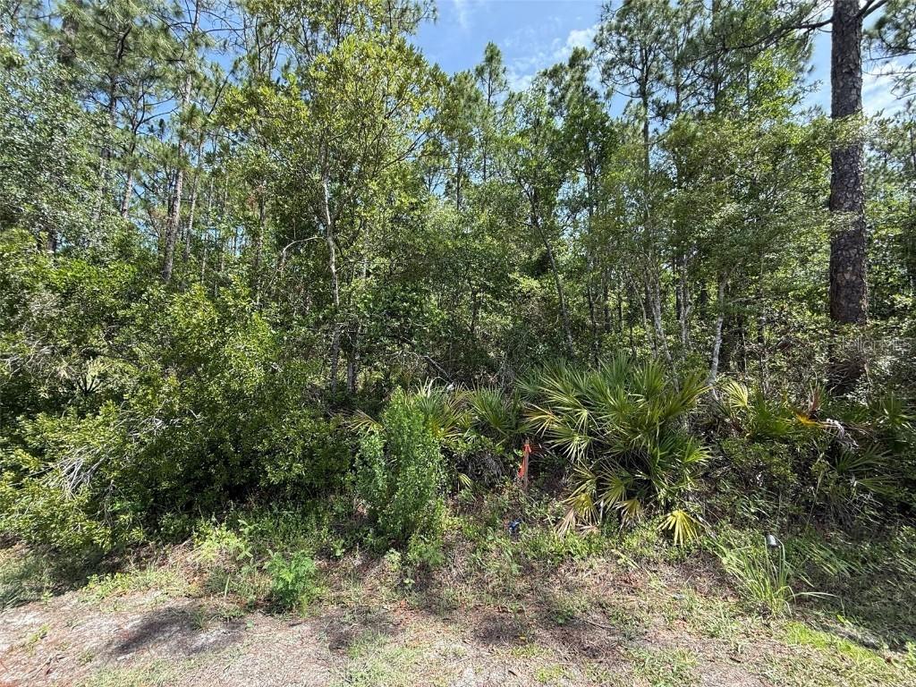182 Millican Rd., Palatka, FL 32177