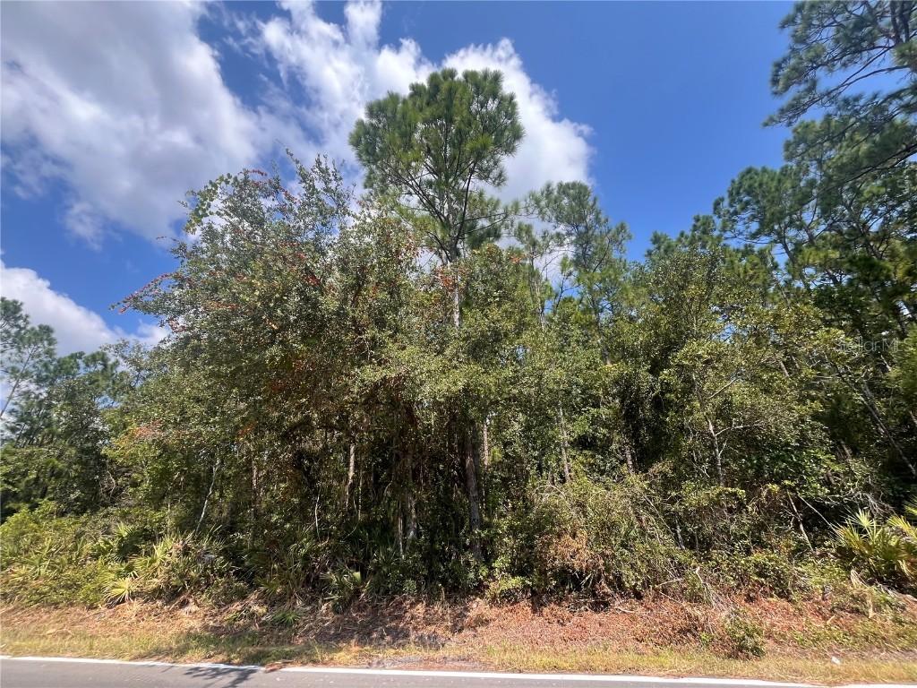 182 Millican Rd., Palatka, FL 32177