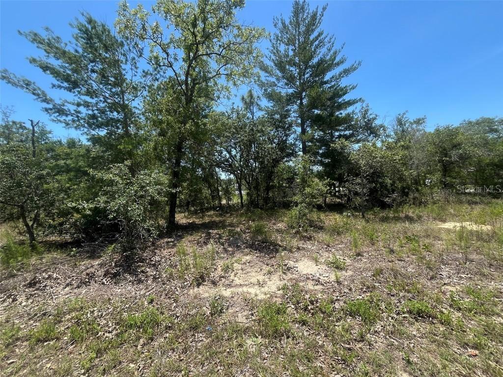 TBD Filbert Rd., Brooksville, FL 34614