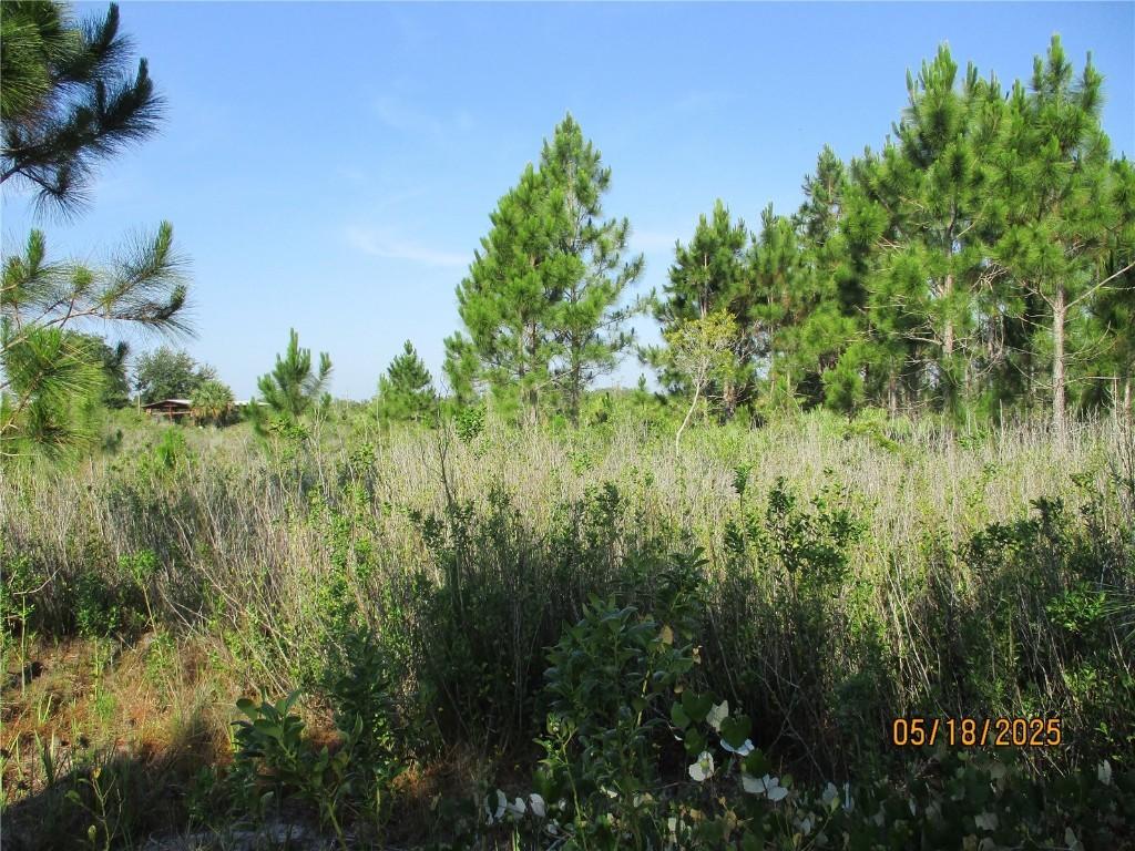 15312 NW 274th St., Okeechobee, FL 34972