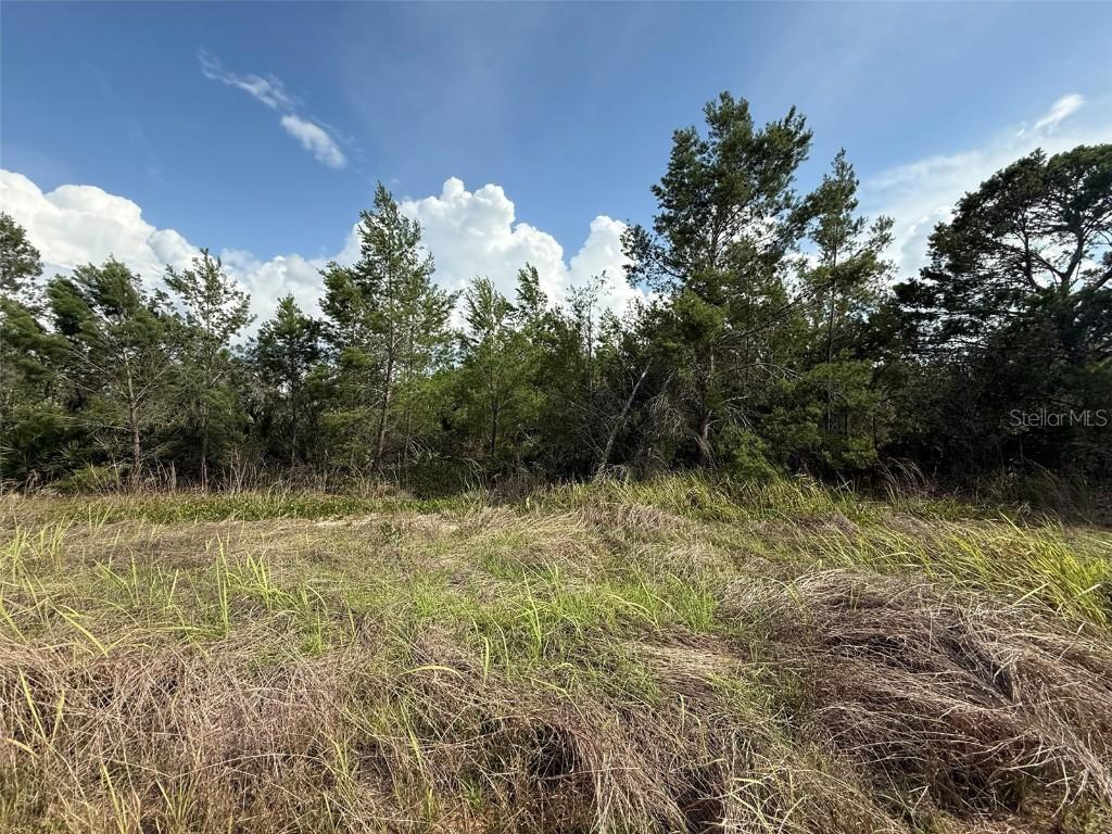 2921 W Seville Dr., Avon Park, FL 33825