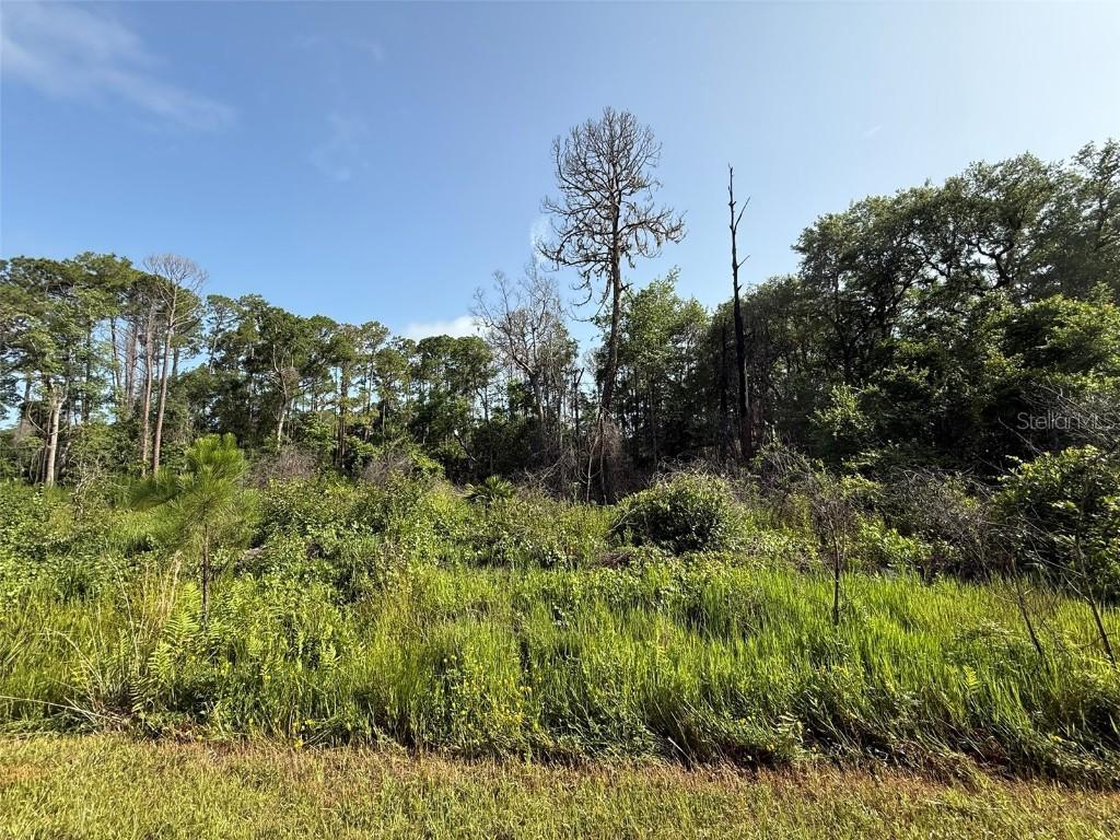 204 Hazel Ave., Georgetown, FL 32139
