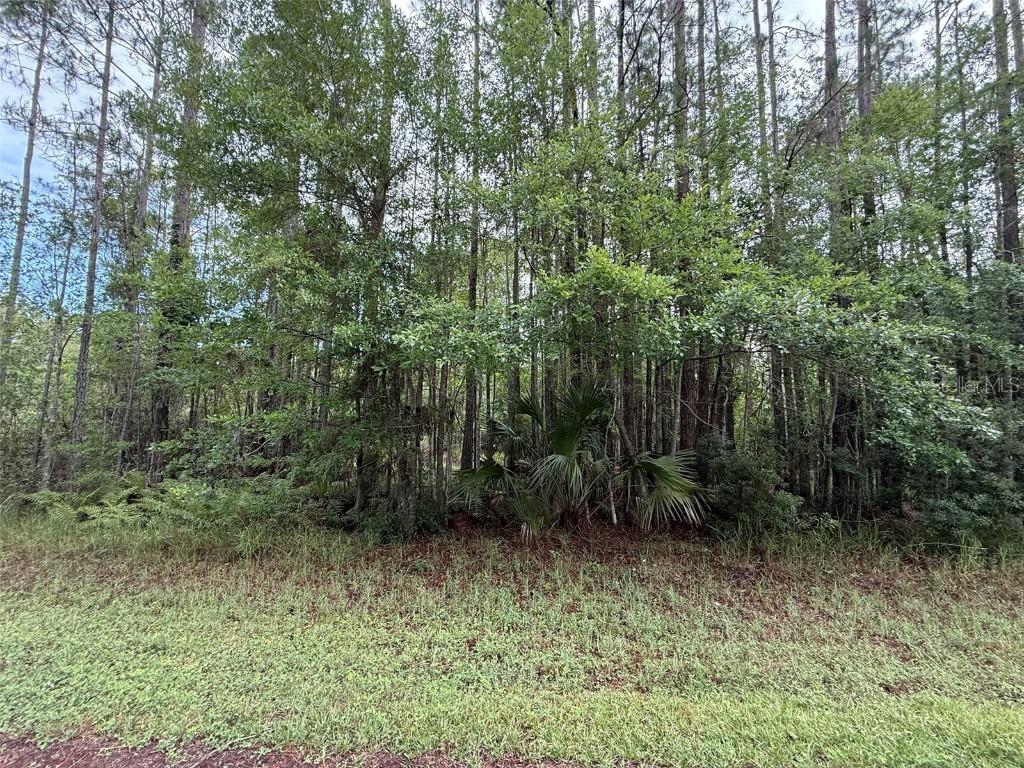 242 Lakeway Dr., Georgetown, FL 32139