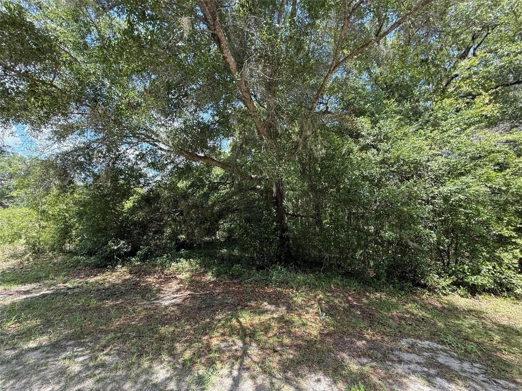 TBD 136th Ct., Dunnellon, FL 34432