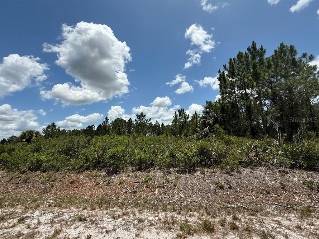 18136 NW 300th St., Okeechobee, FL 34972