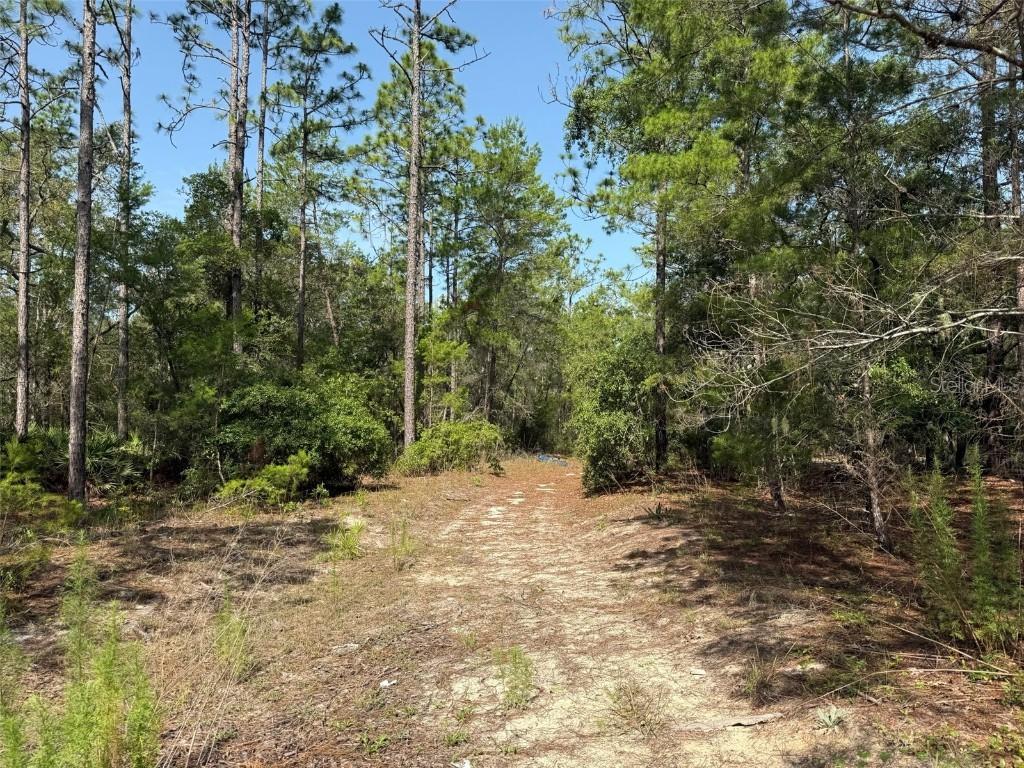 101 Washington Ave., Satsuma, FL 32189