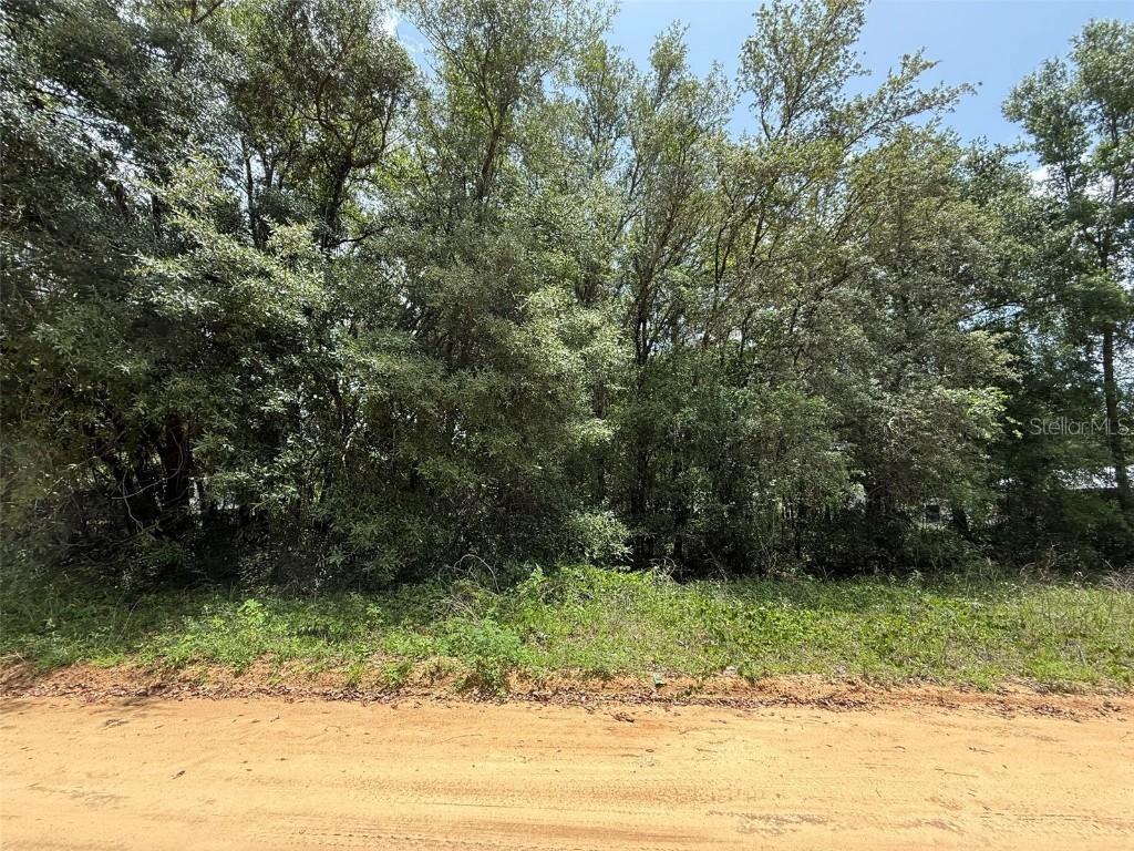604 Kitty Ave., Interlachen, FL 32148