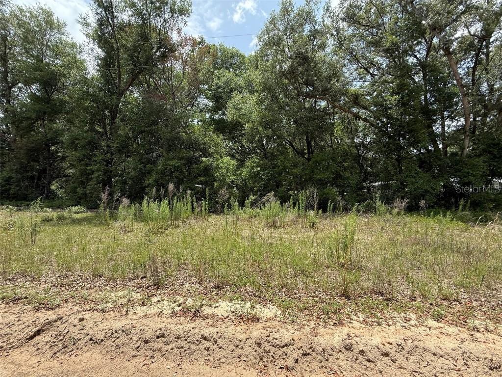 119 Smokey Ave., Interlachen, FL 32148