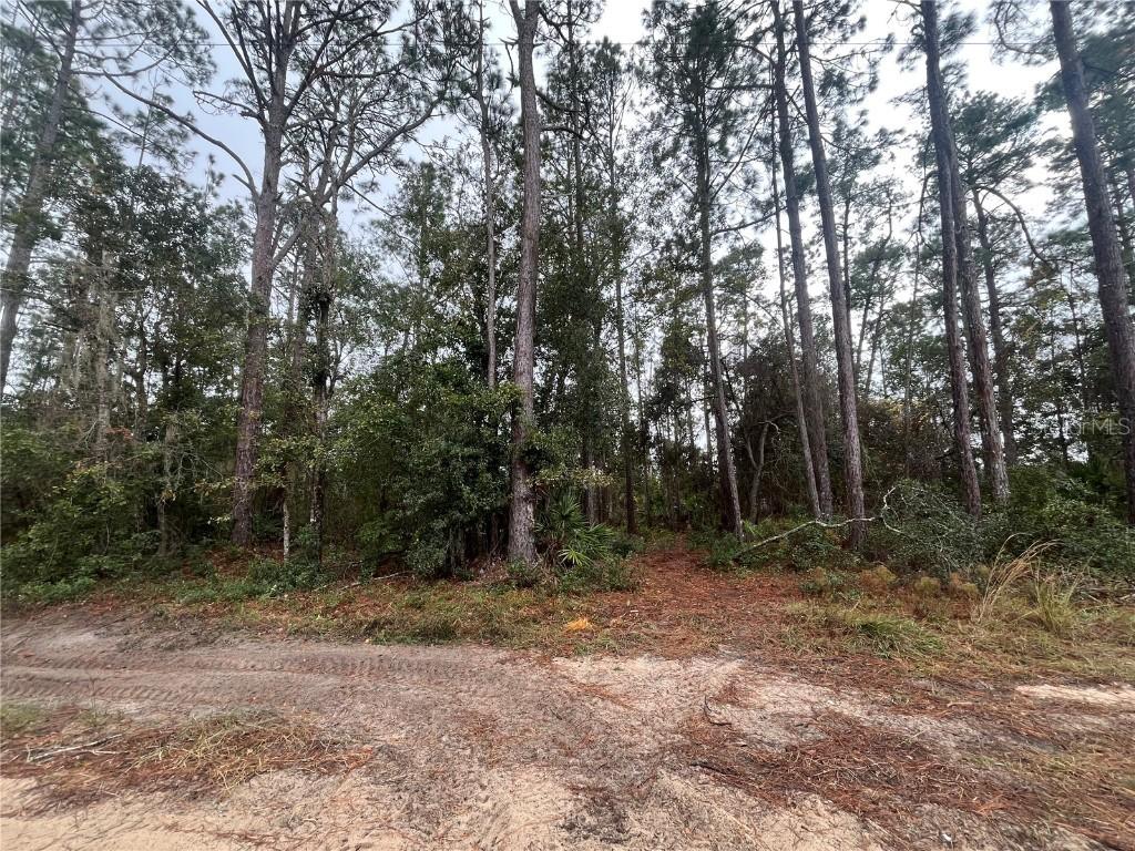 Susan St., Interlachen, FL 32148