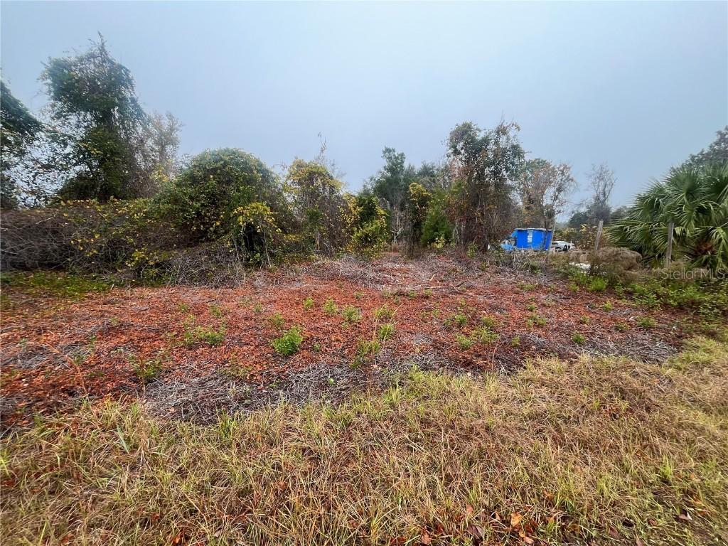 512 Dogwood Ave., Georgetown, FL 32139