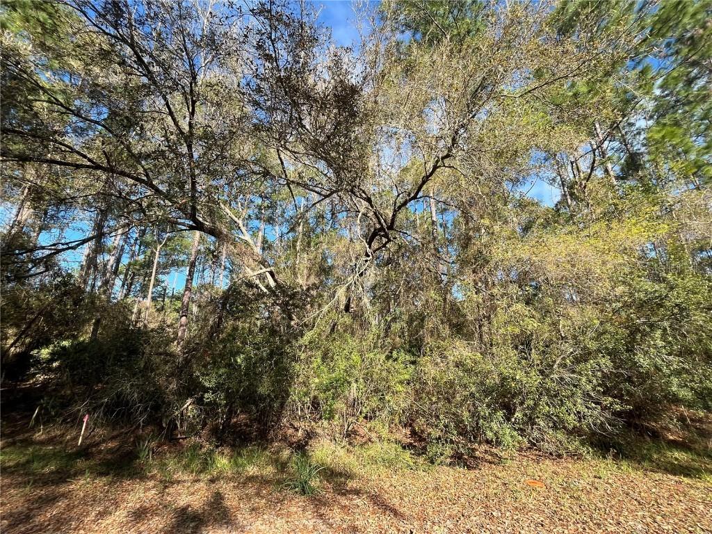 104 SE 5th St., Georgetown, FL 32139