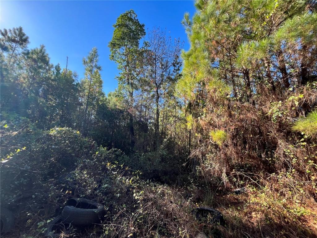 223 Mourning Dove Rd., Satsuma, FL 32189