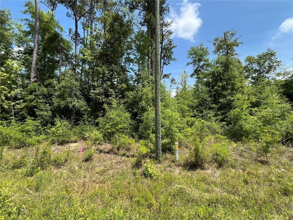TBD Magnolia Ln., Marianna, FL 32448