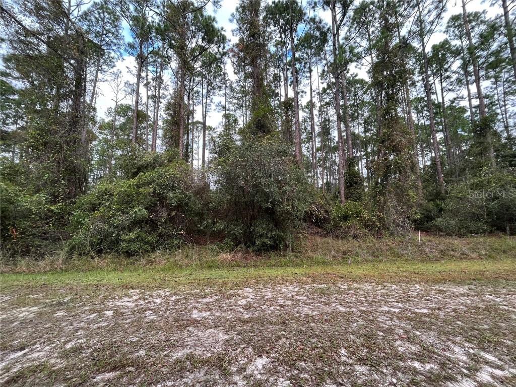 108 SE 5th St., Georgetown, FL 32139