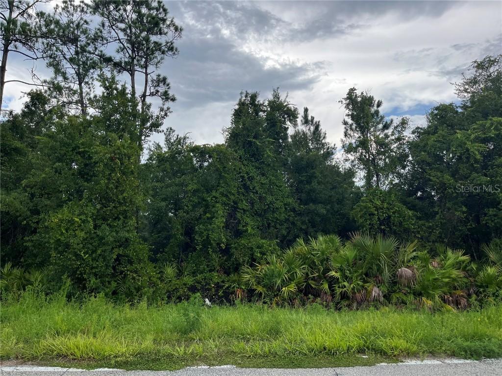 6883 St Johns Ave., Palatka, FL 32177