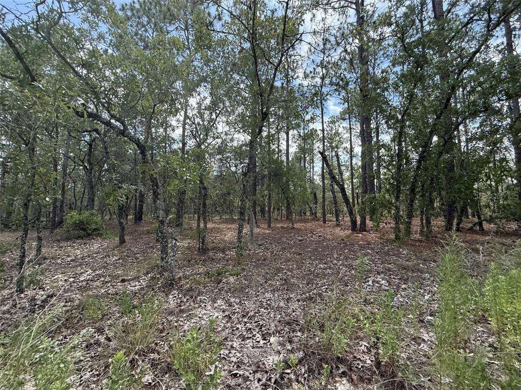 NW Tree Top Rd., Dunnellon, FL 34431