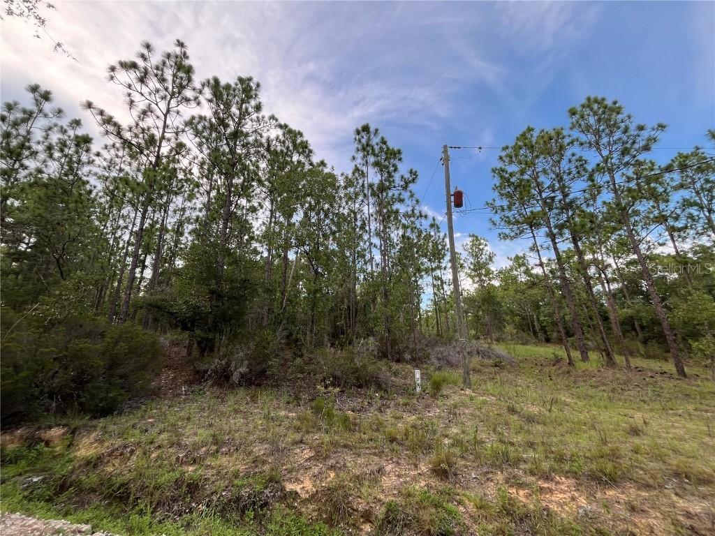 124 New York Ave., Interlachen, FL 32148