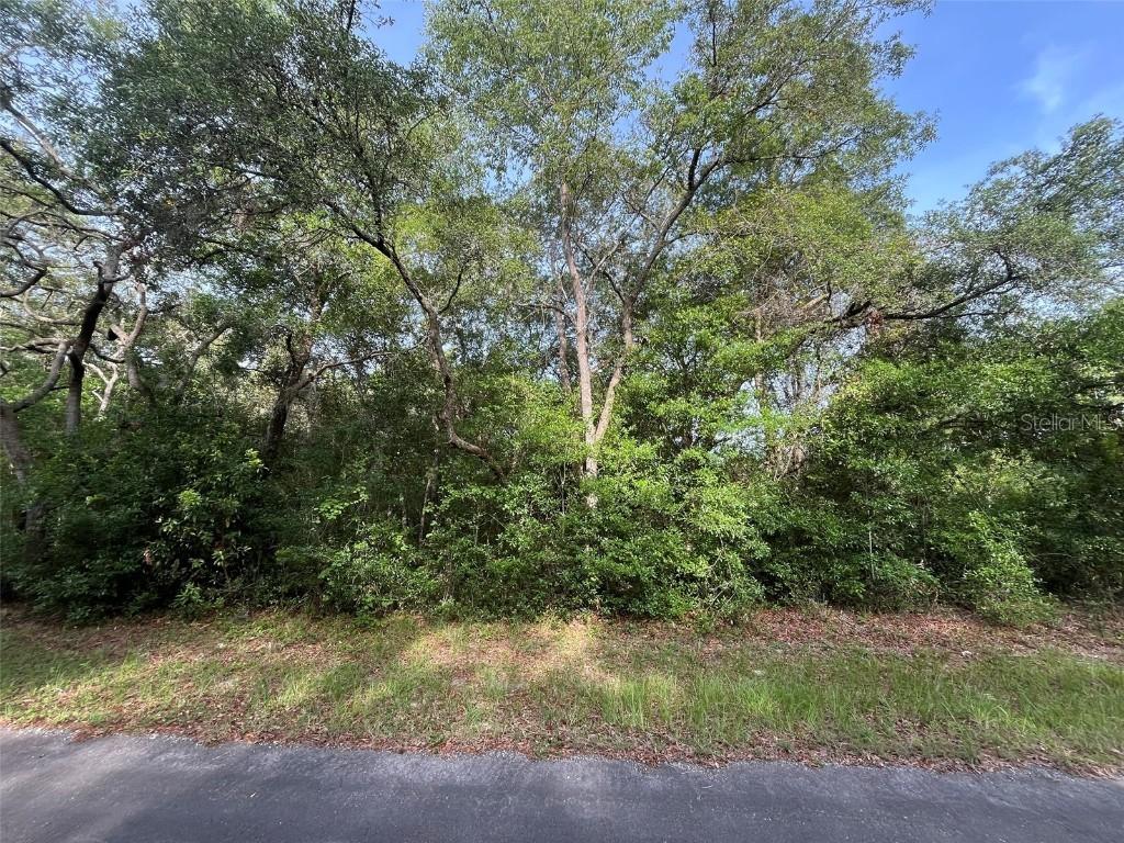 6634 N Pagoda Tree Ter., Hernando, FL 34442
