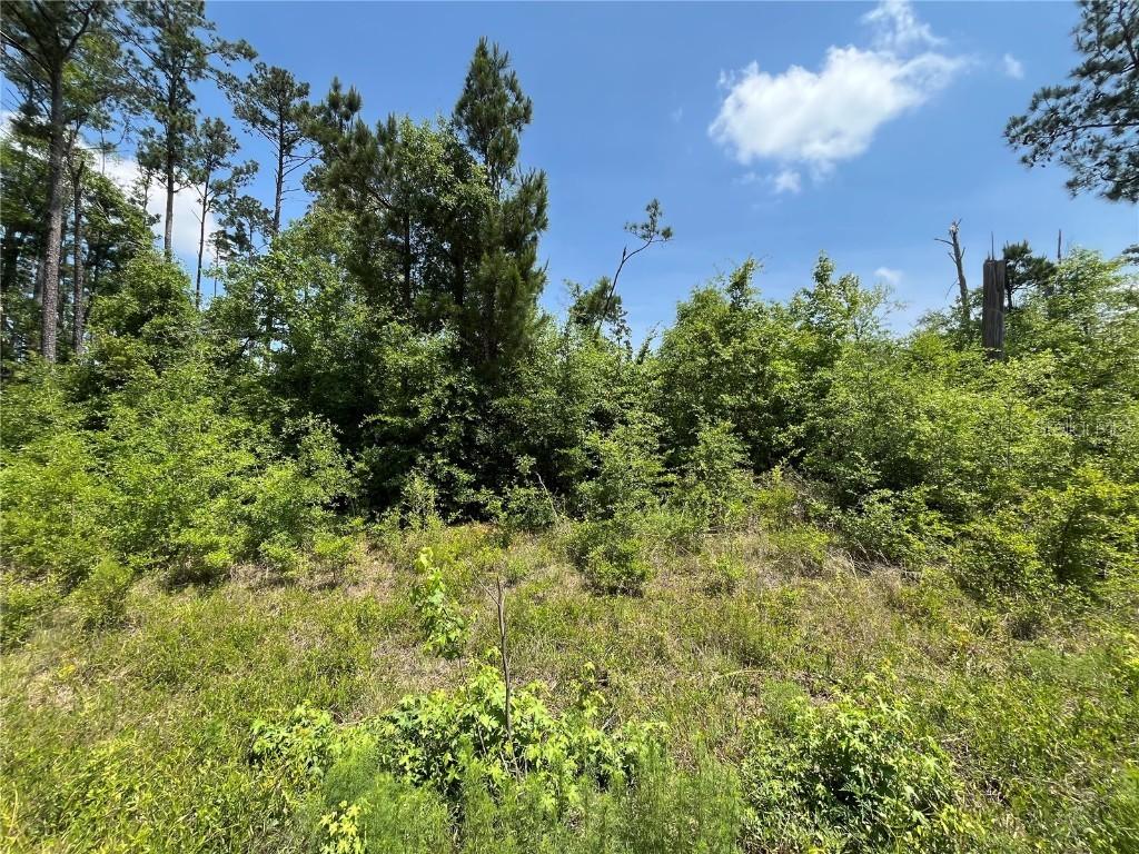 TBD Grand Quiviera Cir., Alford, FL 32420