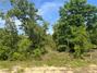 New Homes For Sale This Week in Alford: June 13th to June 19th