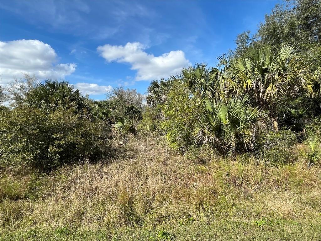 14667 NW 294th St., Okeechobee, FL 34972