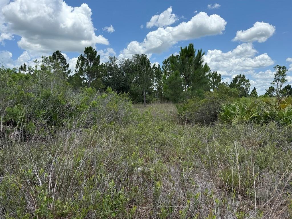 NW 310th St., Okeechobee, FL 34972