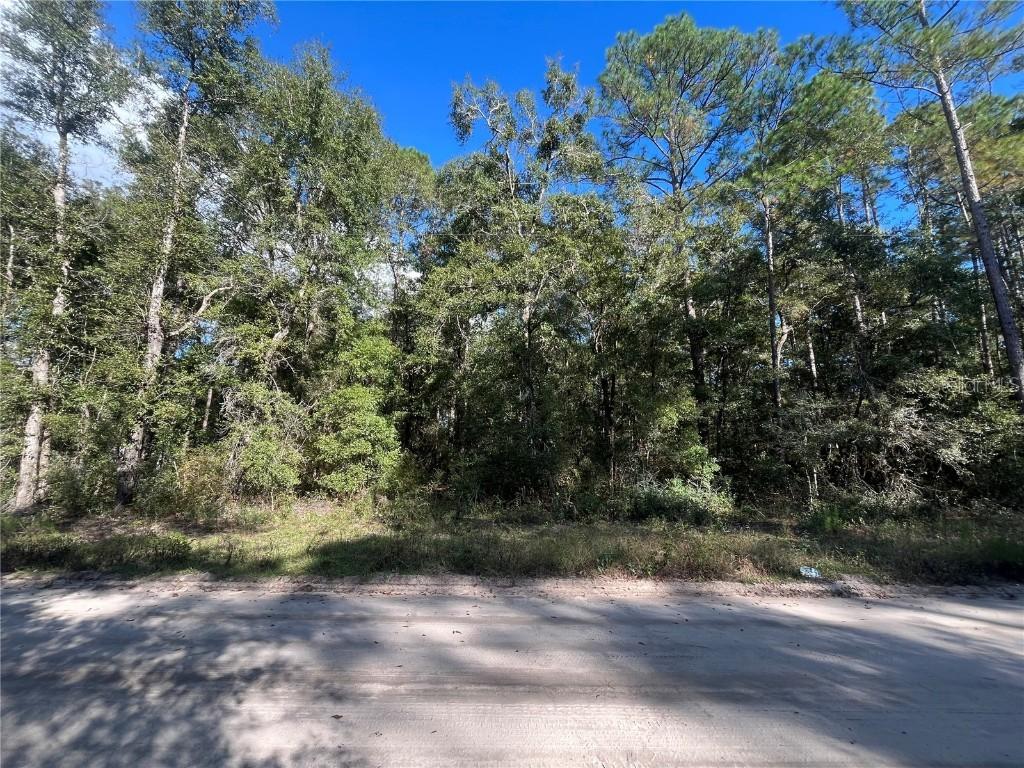 Rutland Rd., Crawfordville, FL 32327