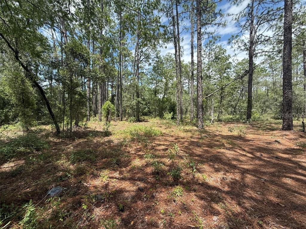 NW Ridgewood Rd., Dunnellon, FL 34431