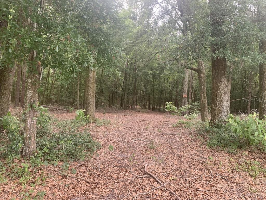 SW 20th St., Bell, FL 32619